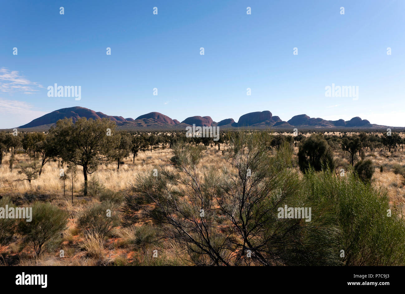 Panorama von Kata Tjuta in der Uluru - Kata Tjuta National Park, Northern Territory, Australien Stockfoto