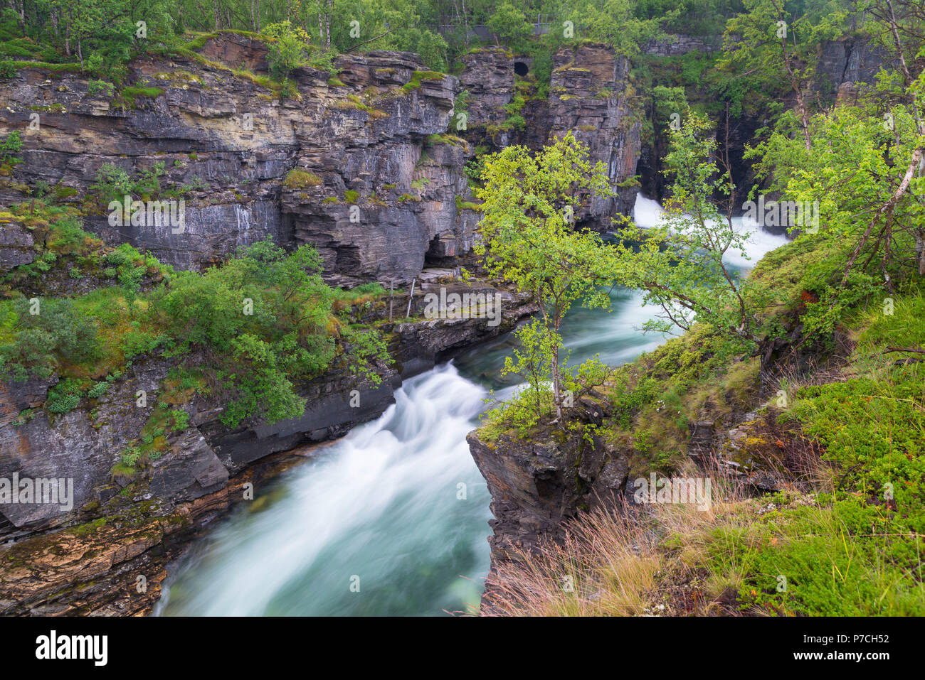 Abisko Nationalpark in Schweden Stockfoto