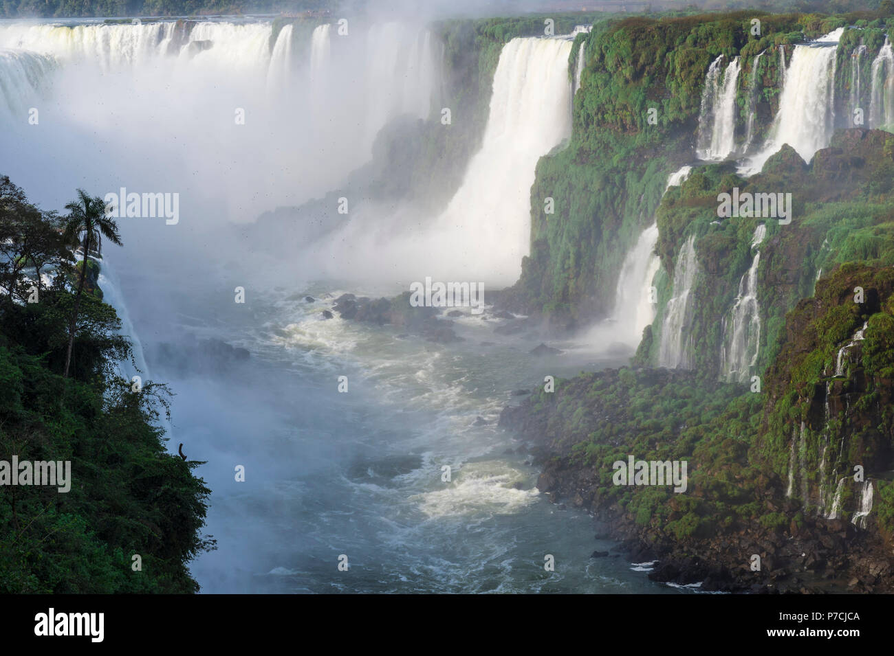 Blick auf die Iguazu-Wasserfälle von der brasilianischen Seite, UNESCO-Weltkulturerbe, Foz do Iguaçu, Bundesstaat Parana, Brasilien Stockfoto