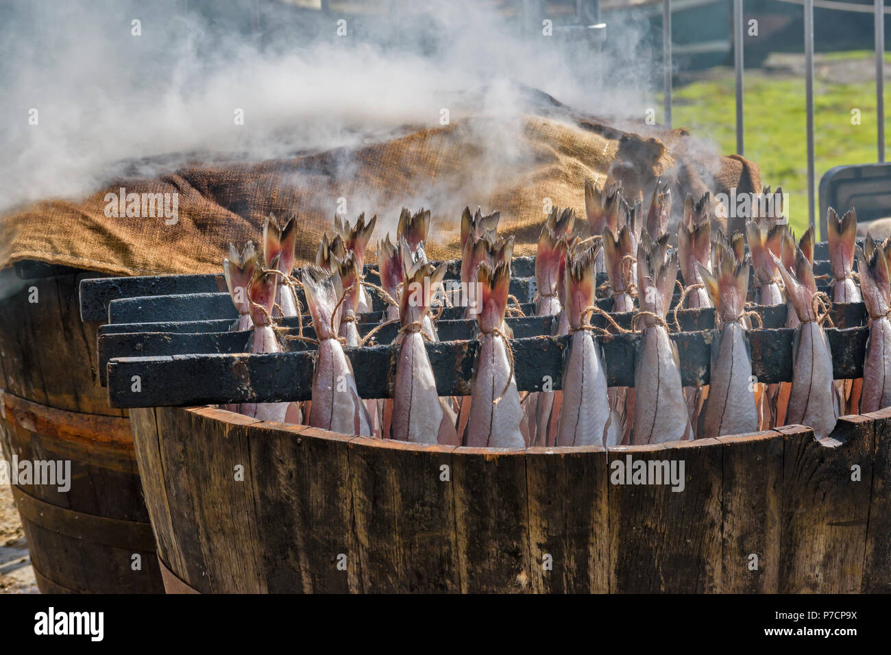 PORTSOY FESTIVAL ABERDEENSHIRE SCHOTTLAND Arbroath Smokies SCHELLFISCH FISCH auf Racks platziert in Holzfässern mit einem Schwelbrand von Holz und mit einem ÜBERDACHTEN Stockfoto