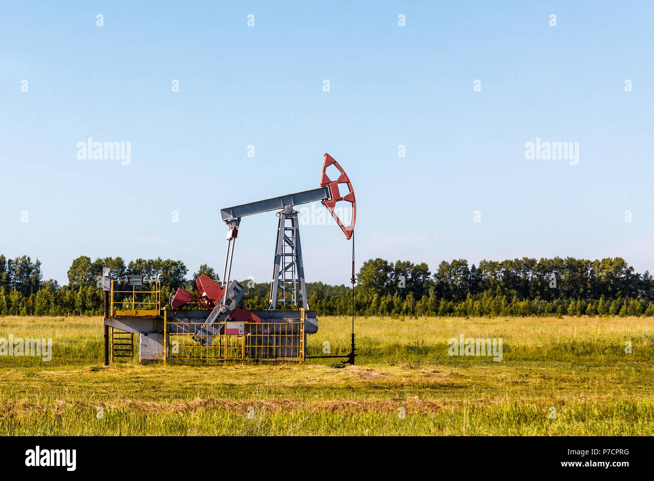 Die Ölpumpe funktioniert im Sommer in ein grünes Feld vor dem hintergrund der grünen Bäume und der blaue Himmel. Stockfoto