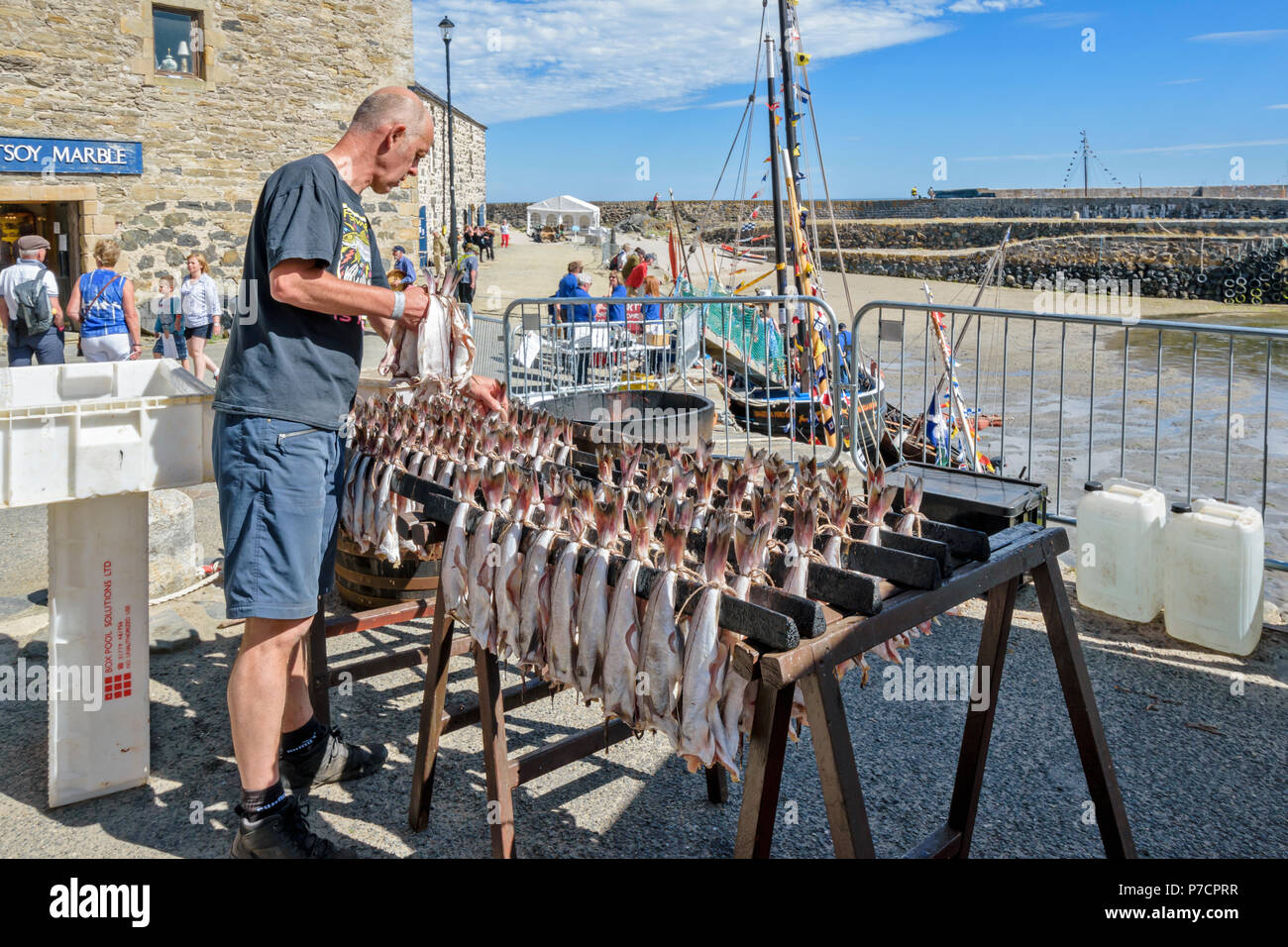 PORTSOY FESTIVAL ABERDEENSHIRE SCHOTTLAND Arbroath Smokies der Schellfisch Fisch hing an Regalen VOR DEM RAUCHEN Stockfoto