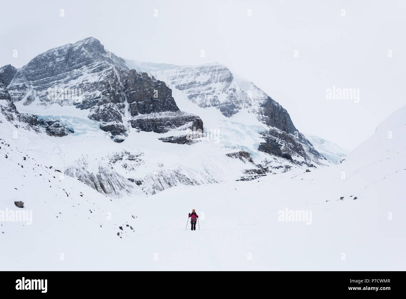Weibliche Bergsteiger wandern auf einem schneebedeckten Berg Stockfoto