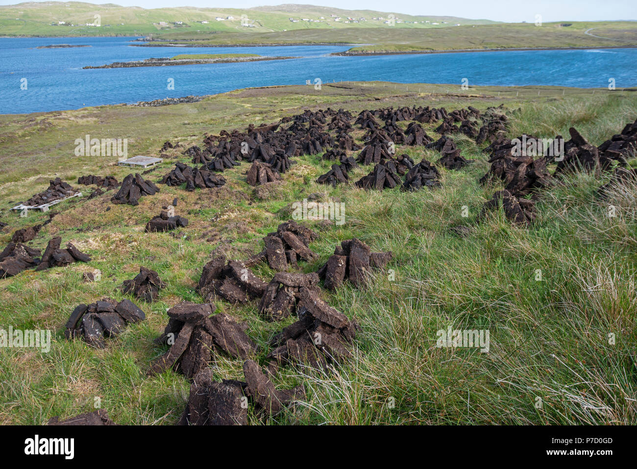 Frisch gegraben Torf Stapeln trocknen. Shetland, Großbritannien. Stockfoto