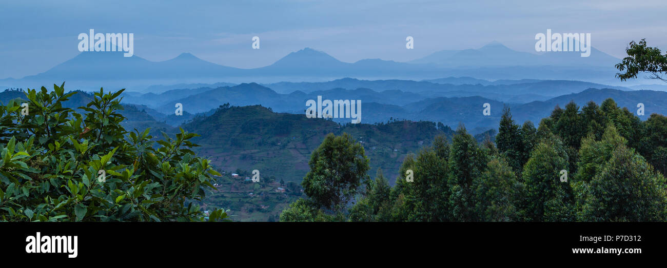 Tropischer Regenwald, Zentralafrikanische Hügel, Virunga Vulkane im Hintergrund, Bwindi Impenetrable Nationalpark, Uganda Stockfoto