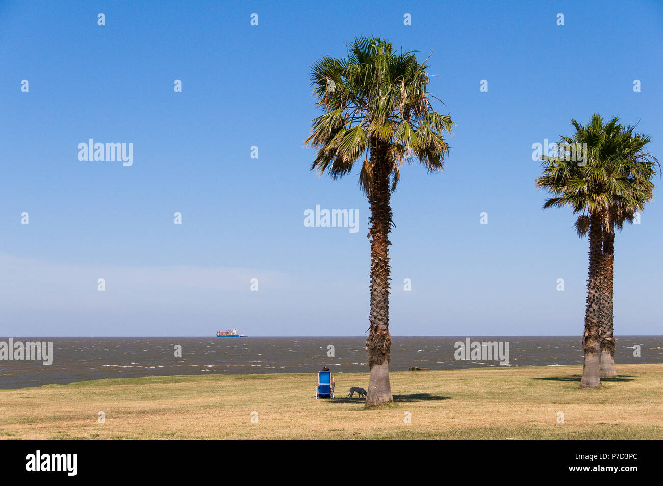 Mann allein mit Liegestuhl auf der Rambla, Promenade am Rio de la Plata, Montevideo, Uruguay Stockfoto