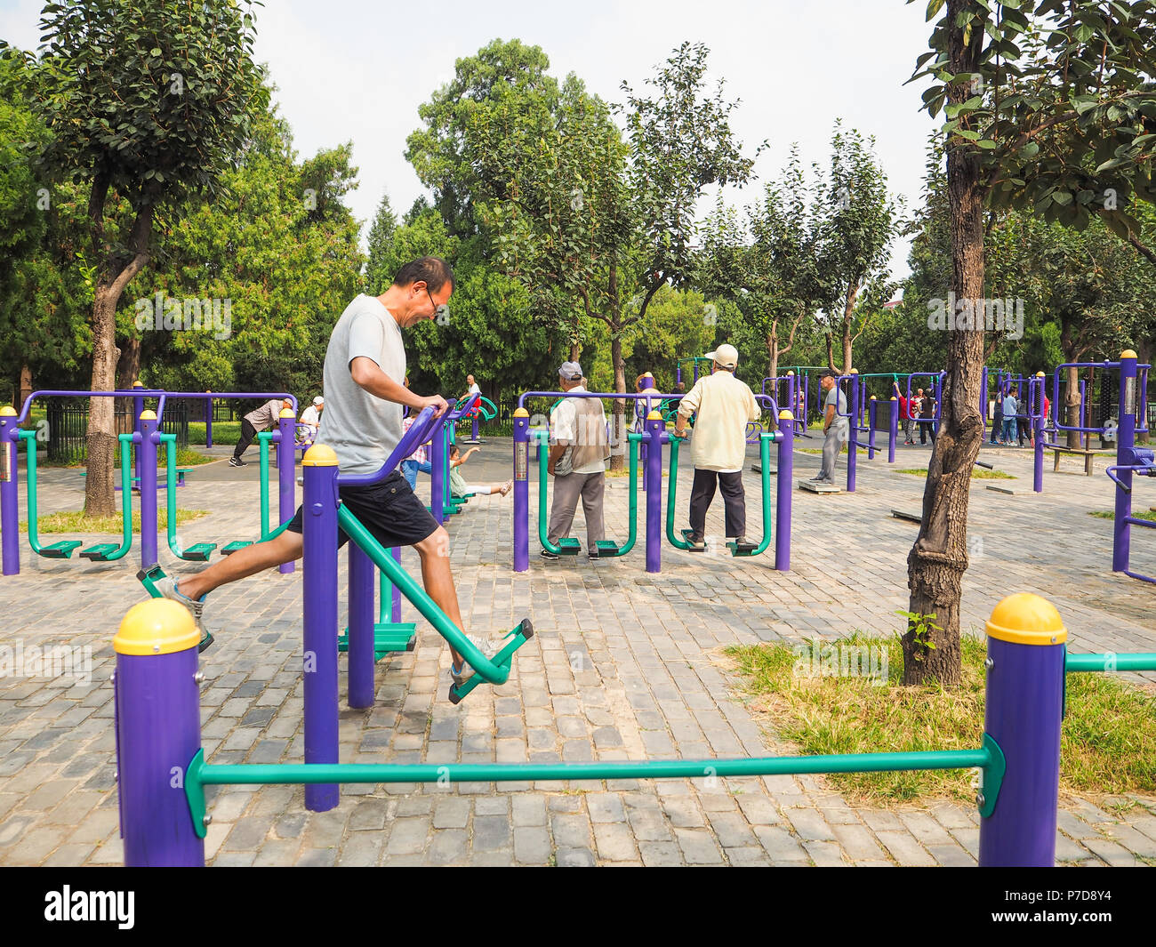 Tempel des Himmels, Peking, China - September 2017: Ältere Arbeiten auf der öffentlichen Anlagen im Park des Tempel des Himmels Stockfoto