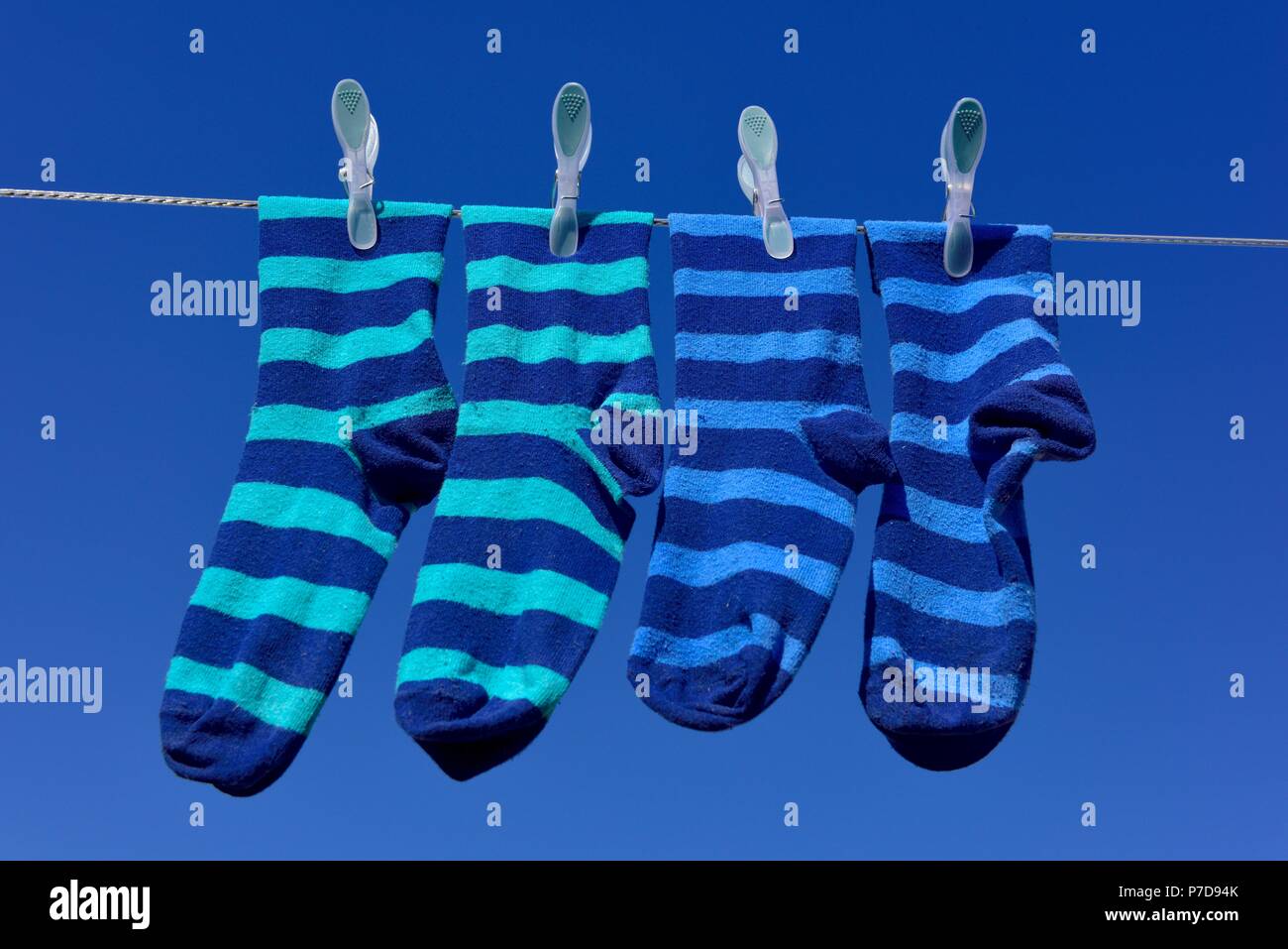 Zwei Paar gestreifte blaue Socken hängen an einer Wäscheleine vor blauem Himmel an einem sonnigen Tag. Stockfoto