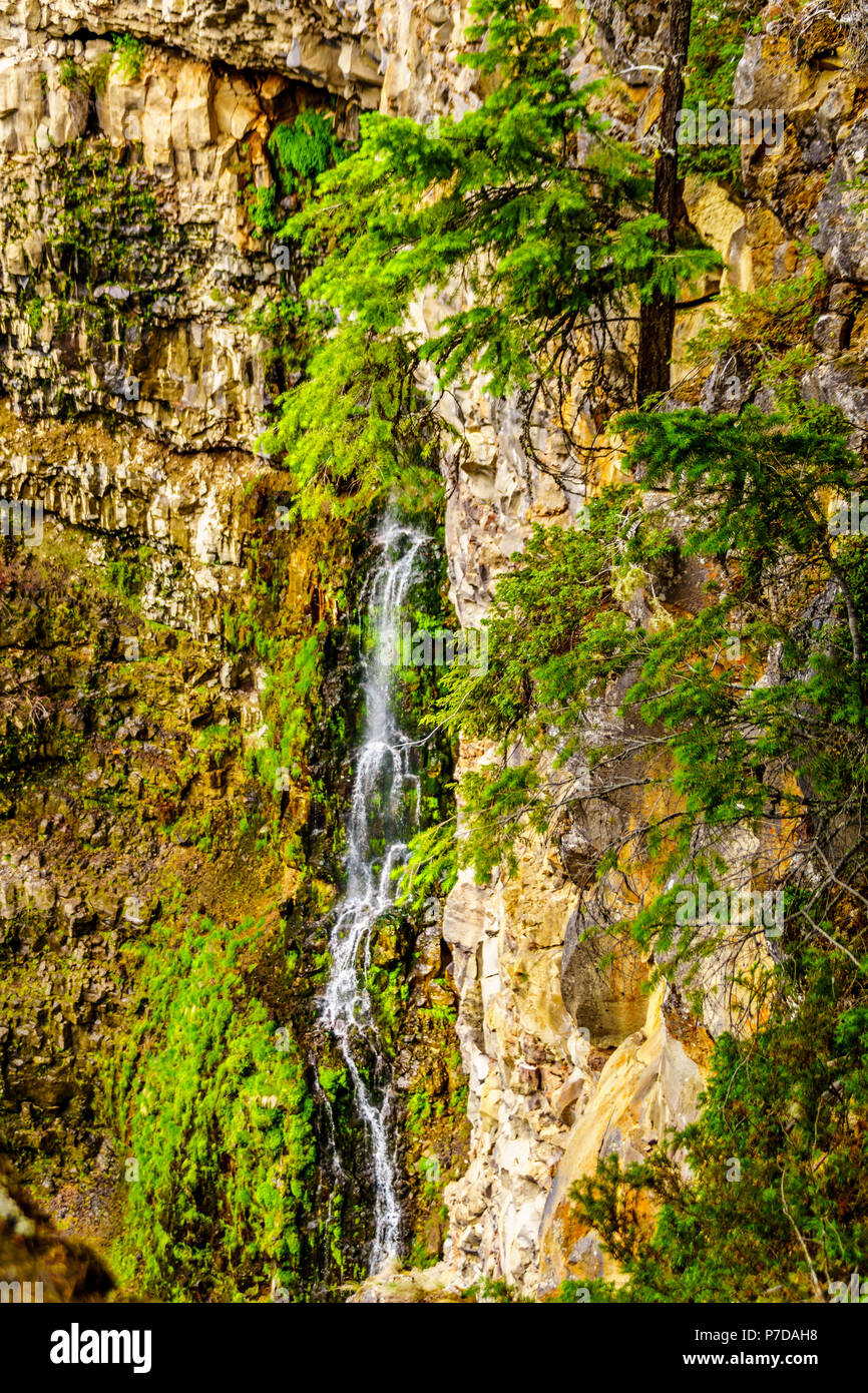 Ein kleiner Wasserfall in der Nähe von Spahats Falls im Spahats Canyon des Wells Gray Provincial Park in Clearwater, British Columbia, Kanada Stockfoto