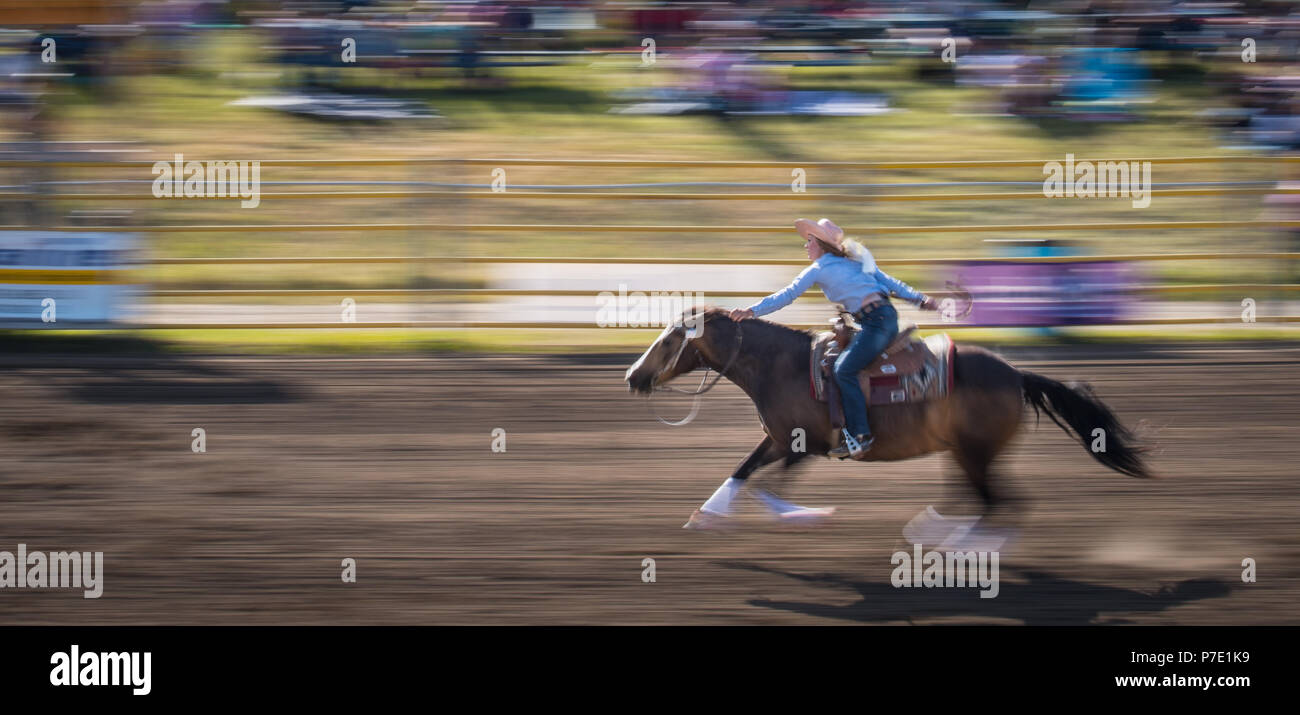 Ein Cowgirl und ihrem Pferd galoppieren, auf dem Weg zur Ziellinie während einer Barrel Racing Wettbewerb auf der Airdrie Pro Rodeo. Stockfoto