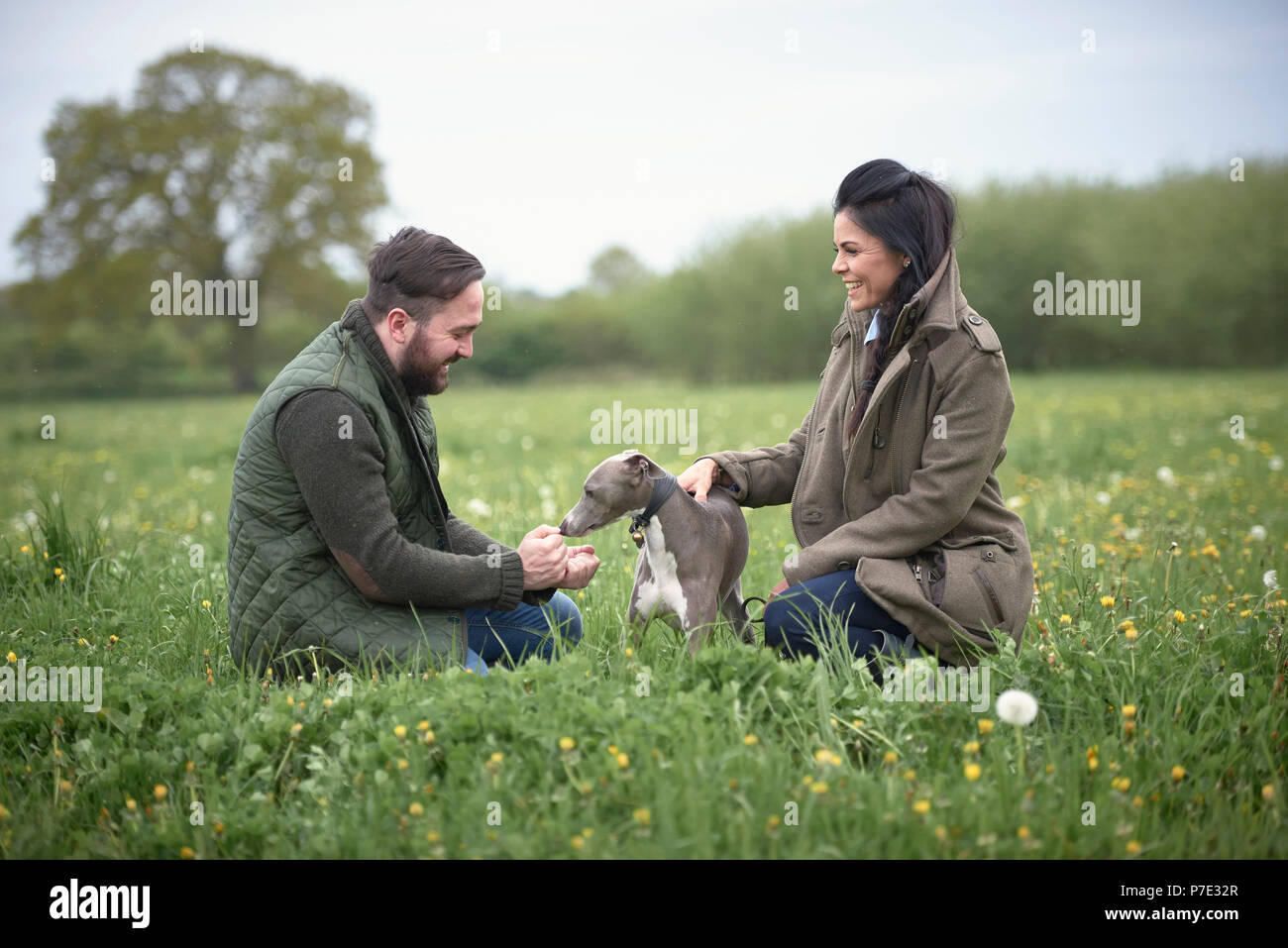 Frau und Mann kniend zu Hund im Feld Stockfoto