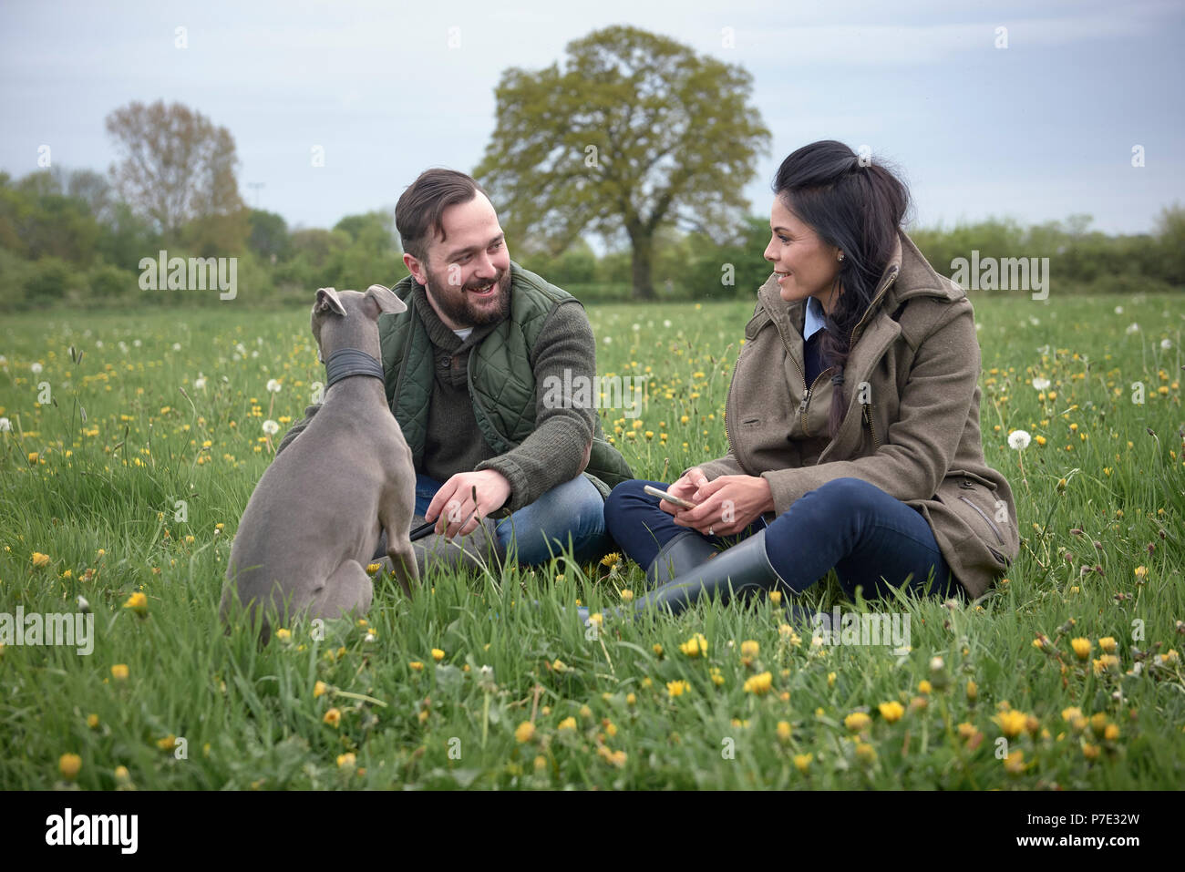Frau und Mann im Feld mit Hund Stockfoto