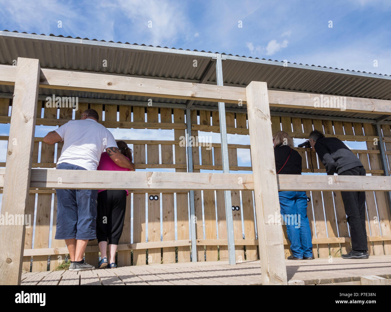 Waching Dichtungen und Vogelbeobachtung aus Fell am Teesmouth National Nature Reserve am Greatham Creek in der Nähe von Hartlepool, England, UK Stockfoto