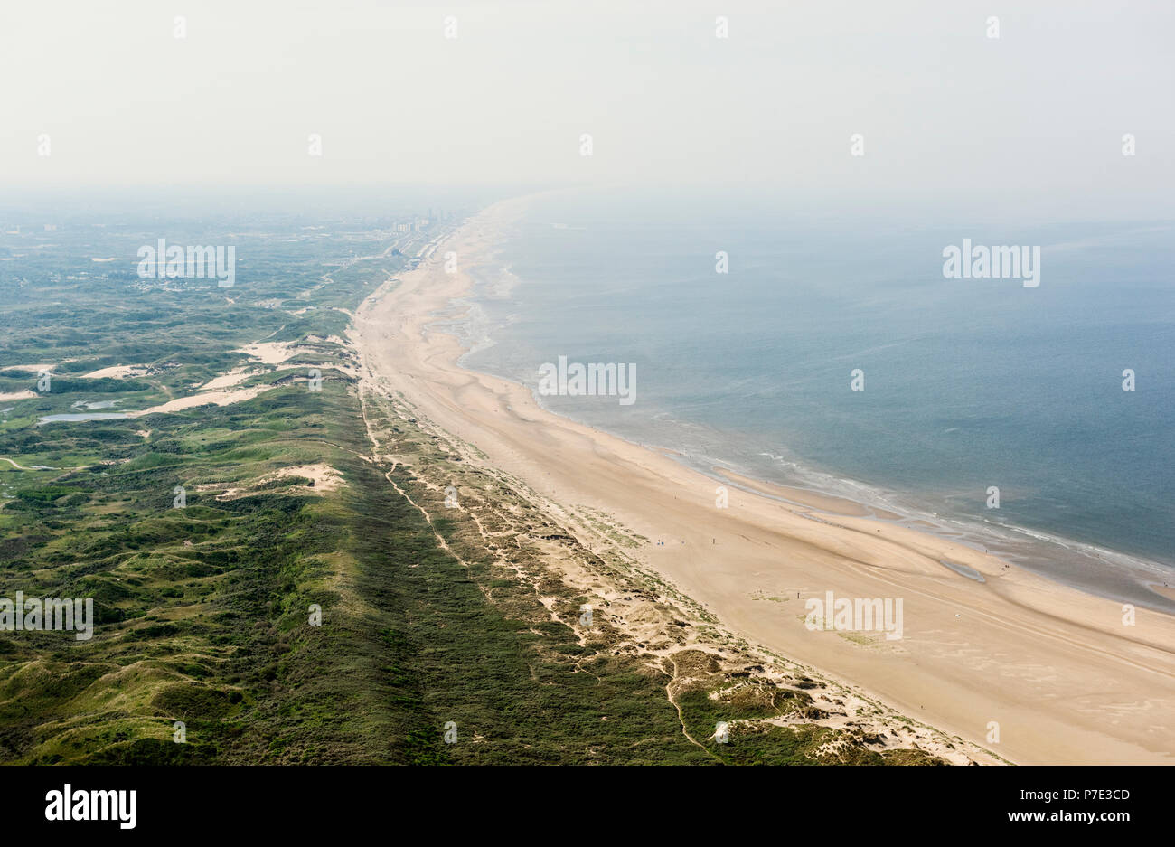 Dünen und Nordsee, IJmuiden, Noord-Holland, Niederlande Stockfoto