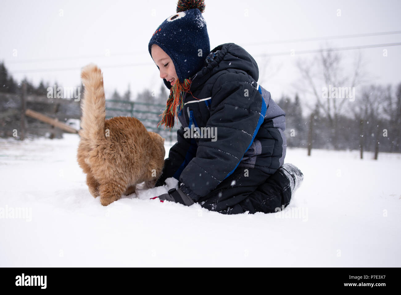 Junge spielt mit Katze im Schnee Stockfoto