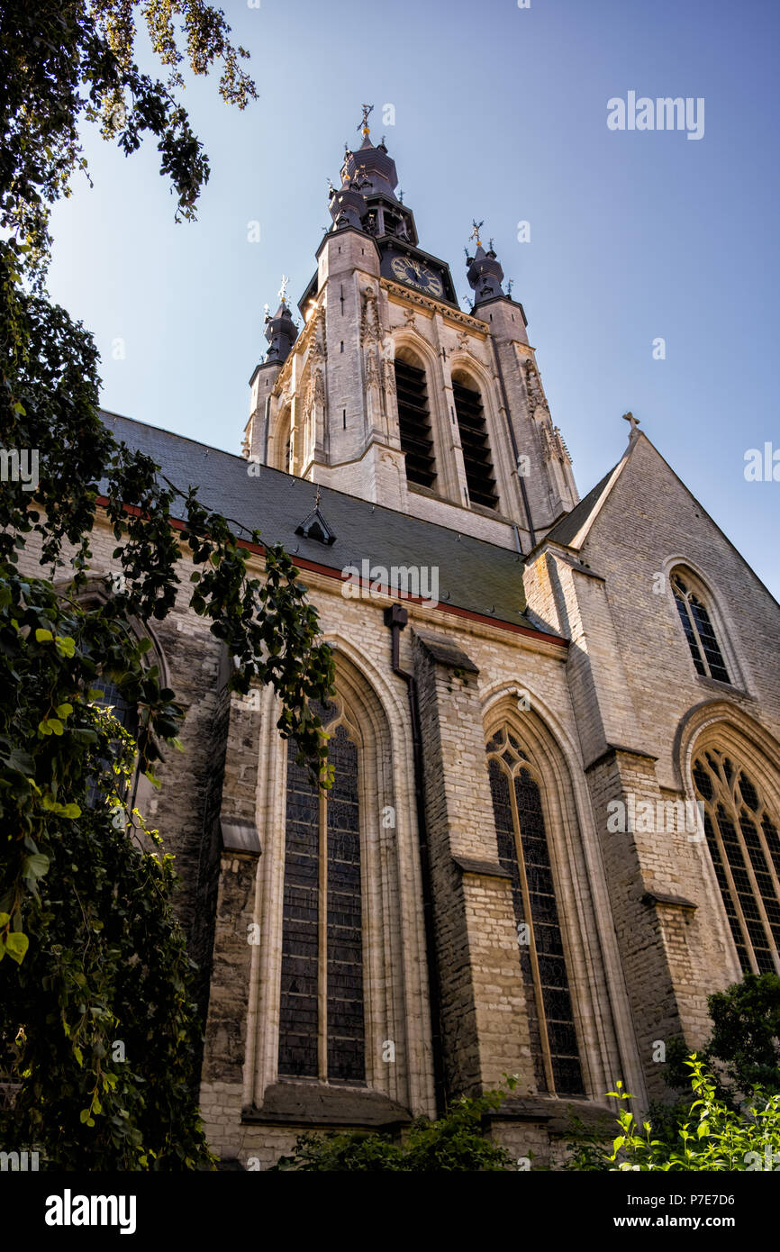 Nach oben gotische Kirche St. Martin's Blick auf einem hellen, sonnigen Tag. Kortrijk, Flandern, Belgien Stockfoto