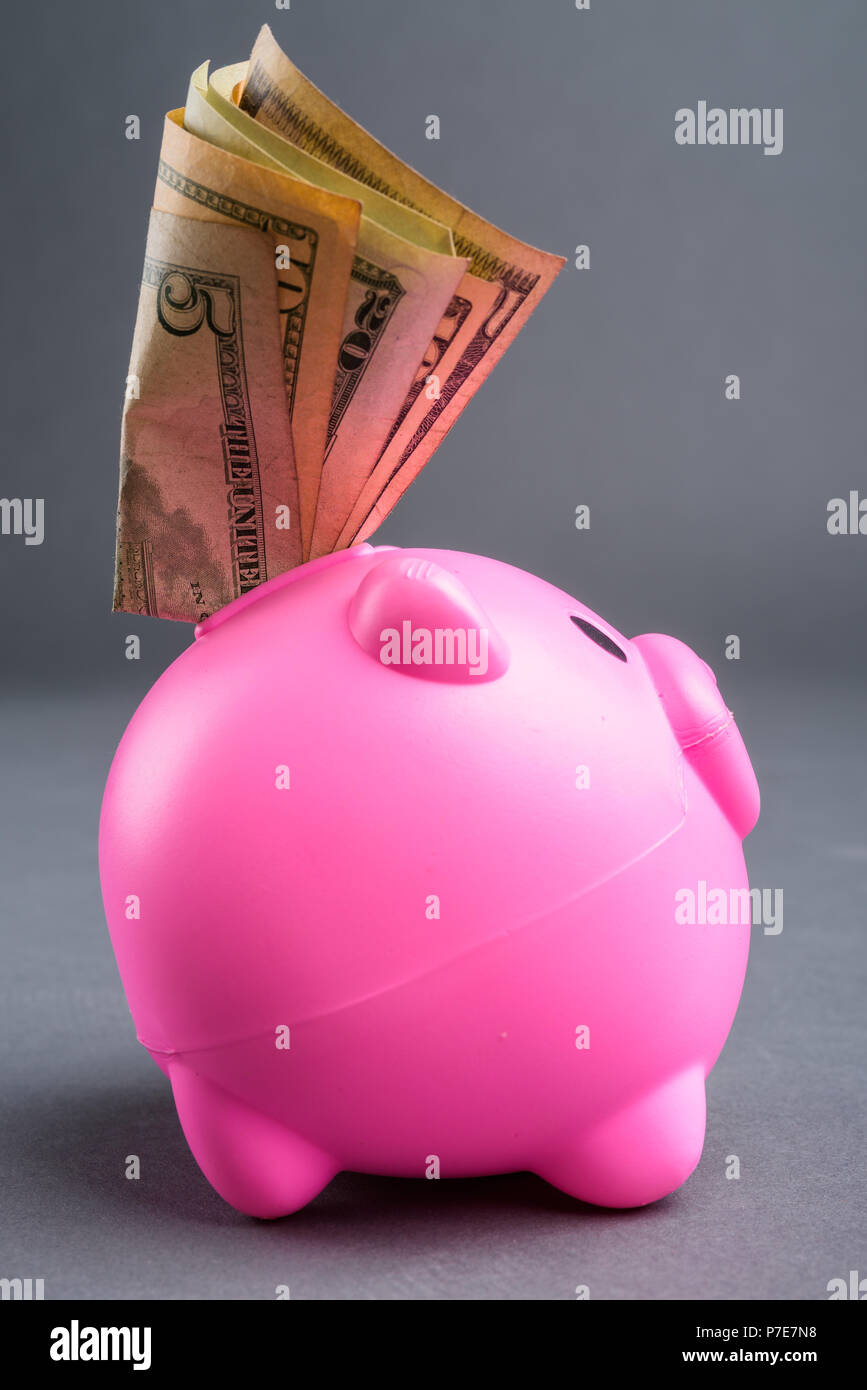 Seitenansicht des Sparschwein mit Dollars Stockfoto