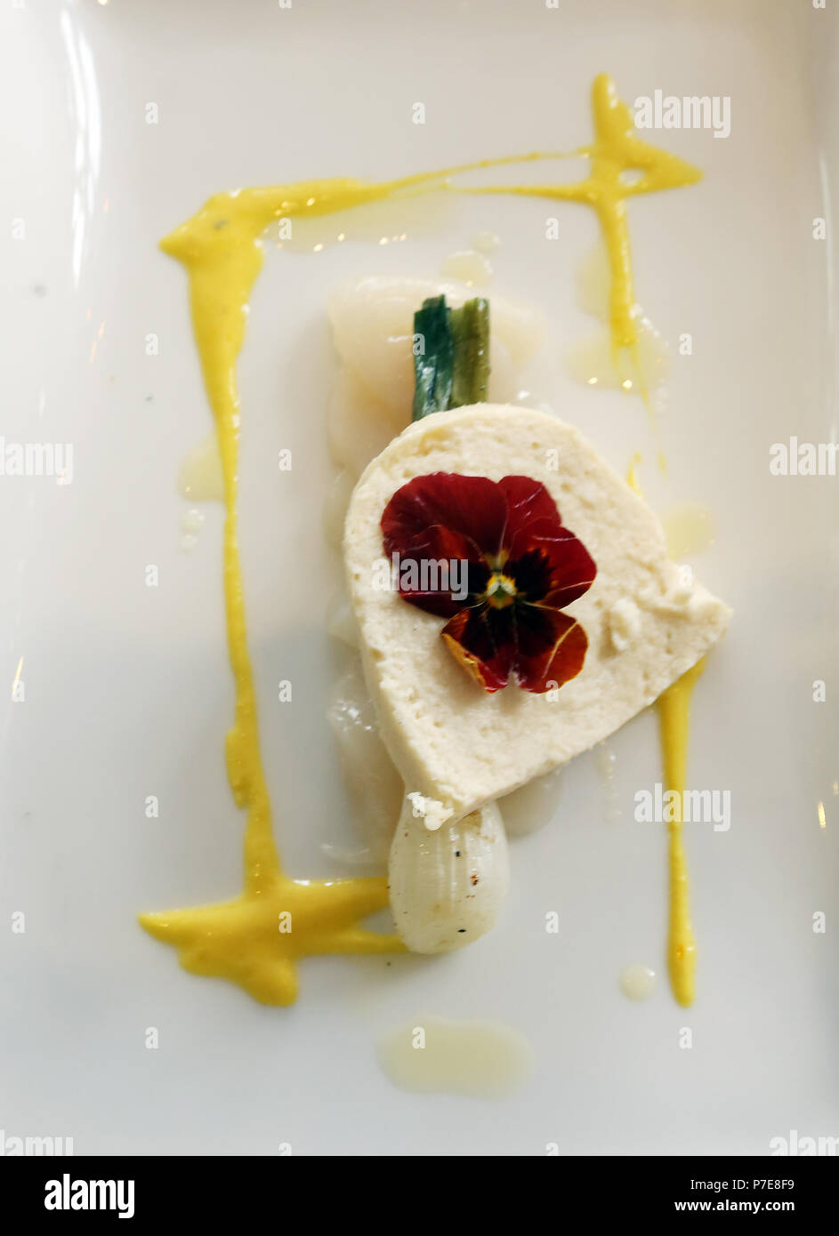 Stör parfait und Jakobsmuscheln Carpaccio mit jungem Lauch, Safran und Färberdistel Stockfoto