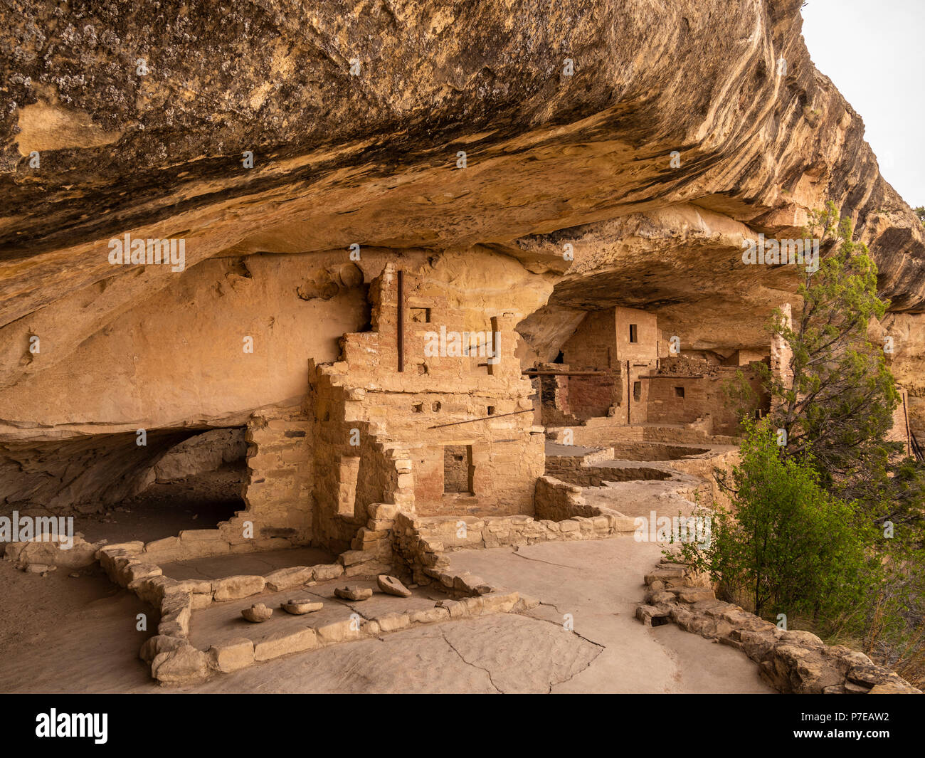 Balkon Haus Ruinen, Mesa Verde National Park, Colorado. Stockfoto