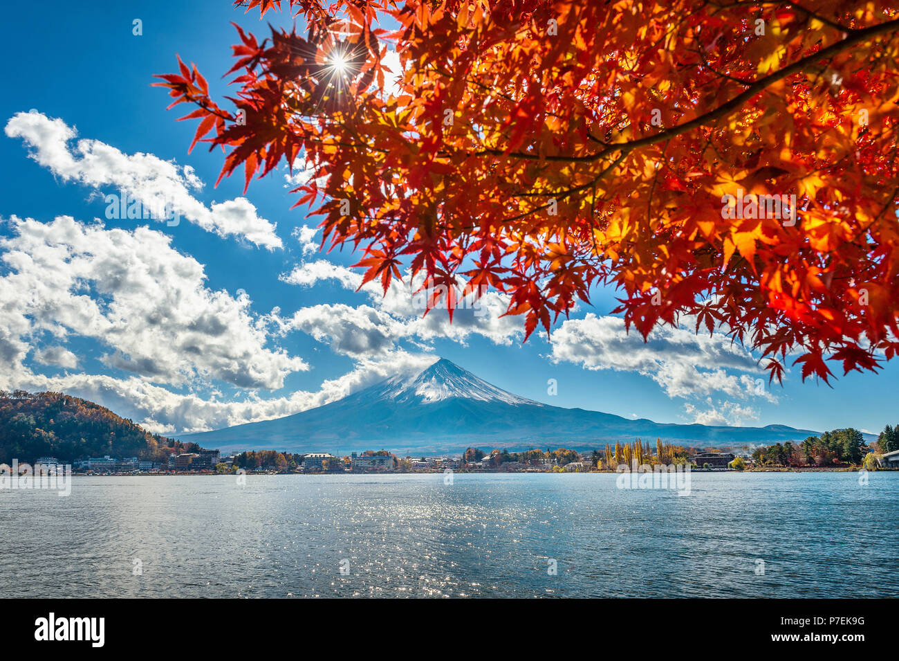 Herbst und Fuji Berg am Kawaguchiko See, Japan. Stockfoto