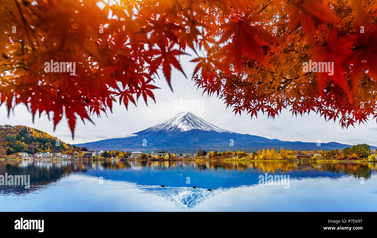 Herbst und Fuji Berg am Kawaguchiko See, Japan. Stockfoto