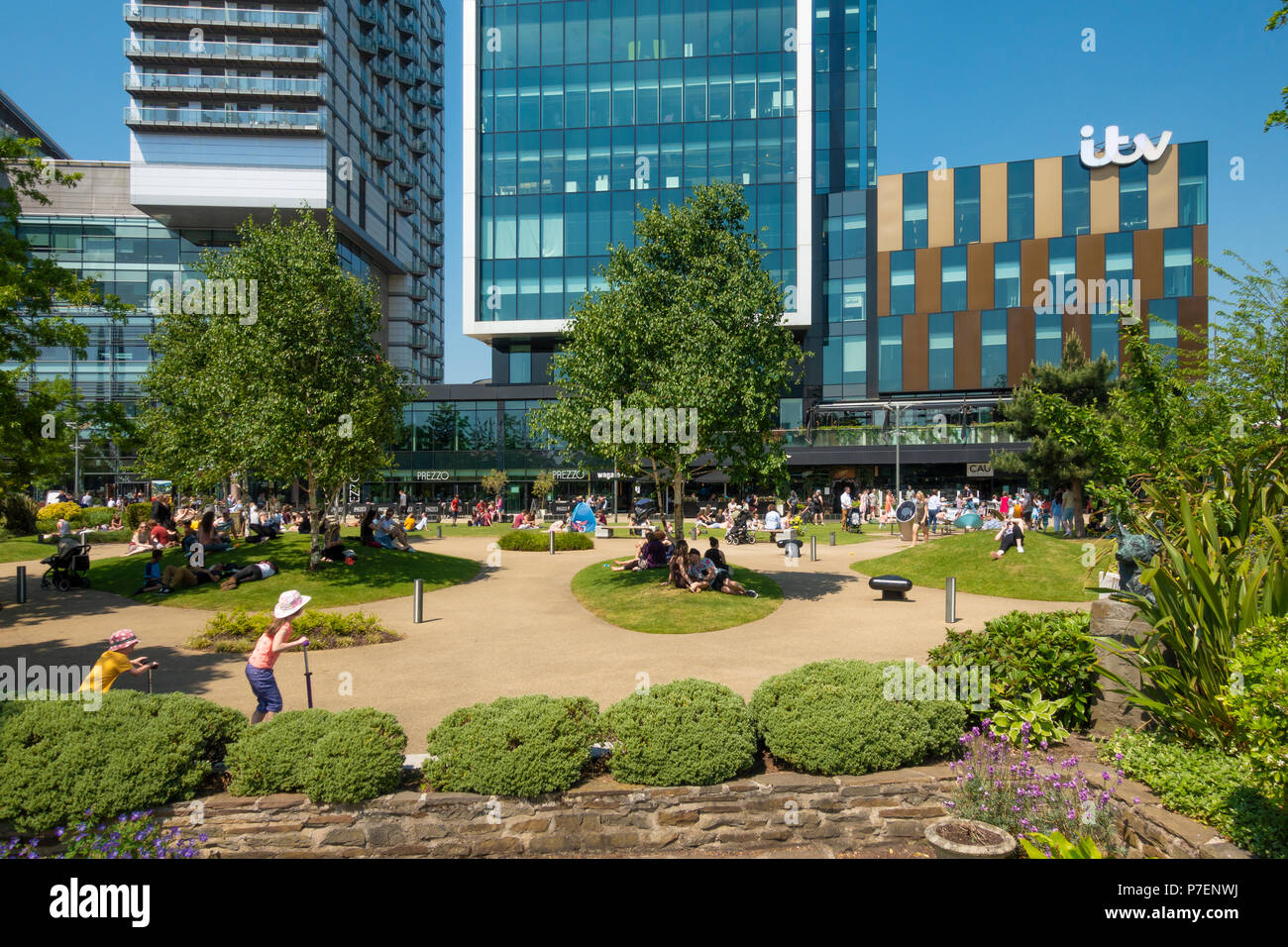 Die öffentlichen Gärten in MediaCityUK in Salford Quays. Stockfoto