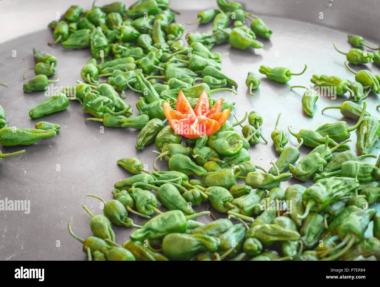 Spanischer Pfeffer Tapas. Pimientos de Padron im grossen Topf zu einem Street Food Markt. Stockfoto