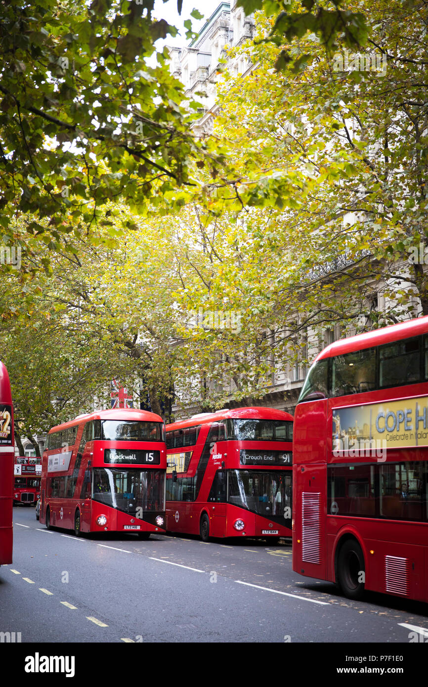 Londoner Busse Stockfoto