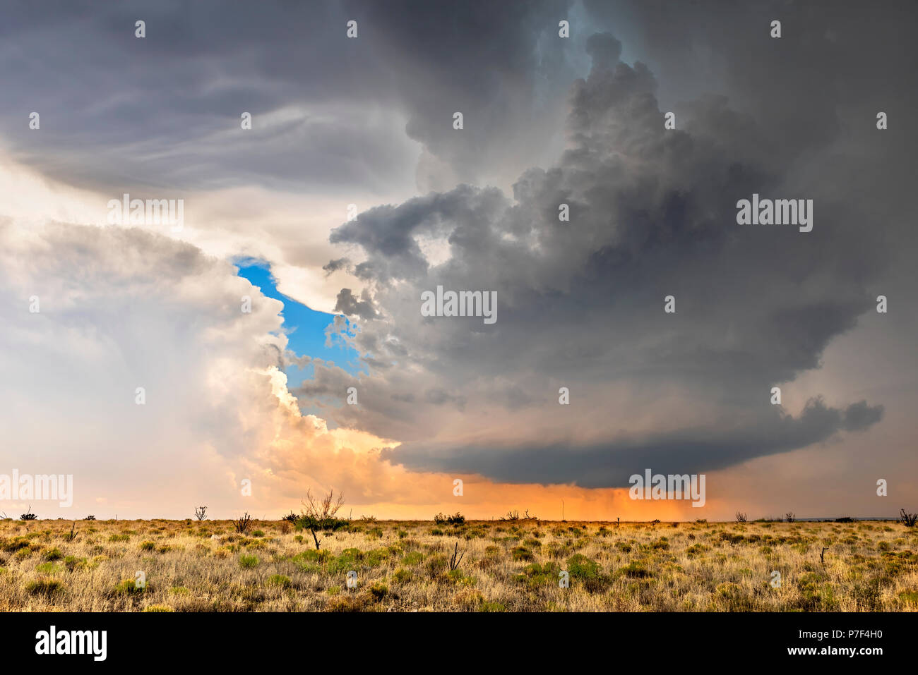 Große, leistungsfähige tornadic supercell Sturm über die Great Plains bei Sonnenuntergang, die Bühne für die Bildung von Tornados über Tornado Al Stockfoto