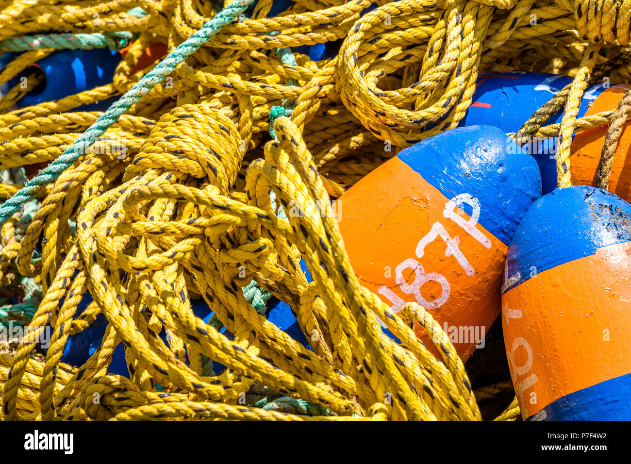 Crab Pot Fanggeräte mit gelbem Polypropylen Seil aufgerollt und Bojen warten in den Ozean Fisch zu fangen, um gestartet zu werden. Stockfoto