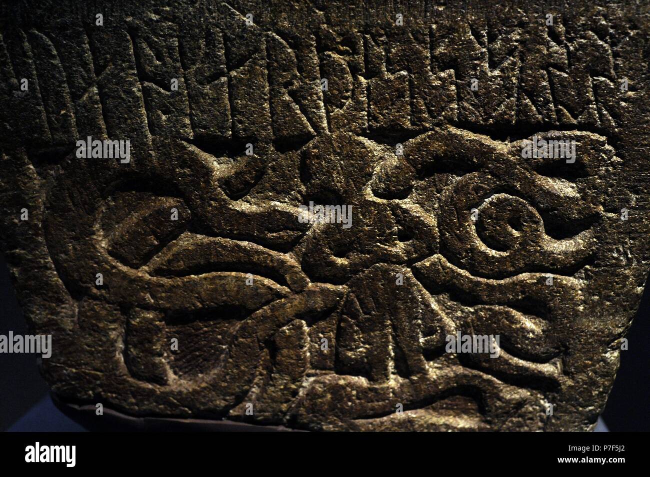 Taufbecken frühchristlichen Ära. Inschrift: Sven hat mich. Gunnar erscheint in der Schlange Nest. Szene der Volsunga saga. Detail. Von Norum, Bohuslan. Historisches Museum. Stockholm. Schweden. Stockfoto