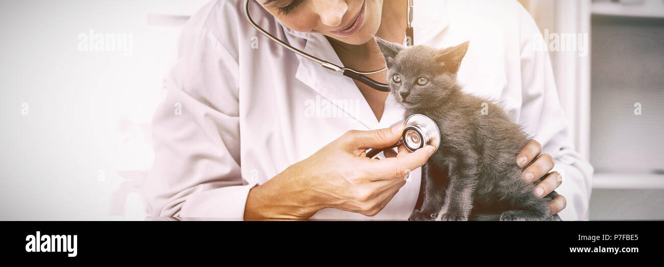 Tierarzt Prüfung Kätzchen mit Stethoskop Stockfoto