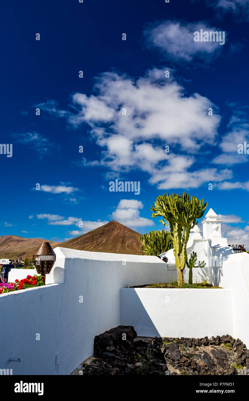 Weiße Wände der Hinterhof, die typische Architektur und riesigen Baum Kaktus, Lanzarote, Kanarische Inseln, Spanien. Schöne Stadtbild mit vulkanischen Hügel Stockfoto