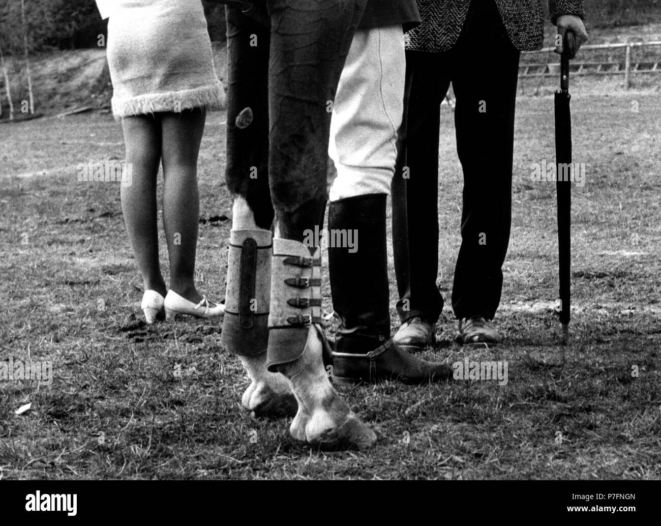 Zwei Pferd Beine und sechs menschlichen Beinen Ca. 1970 s, genaue Ort unbekannt, Tschechische Republik Stockfoto