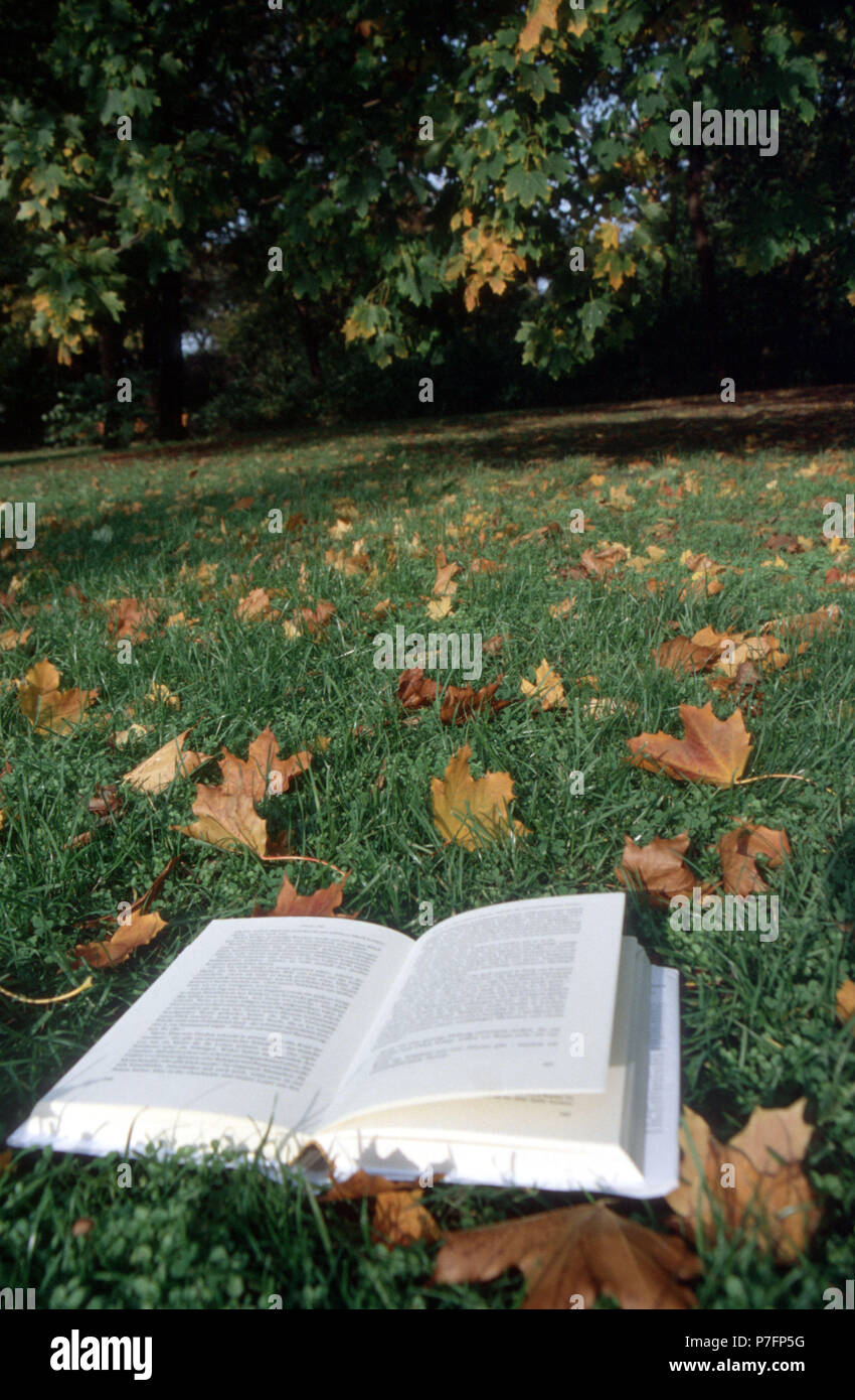 Lesen im Alter, offenes Buch auf Herbstwiese, Berlin, Deutschland Stockfoto