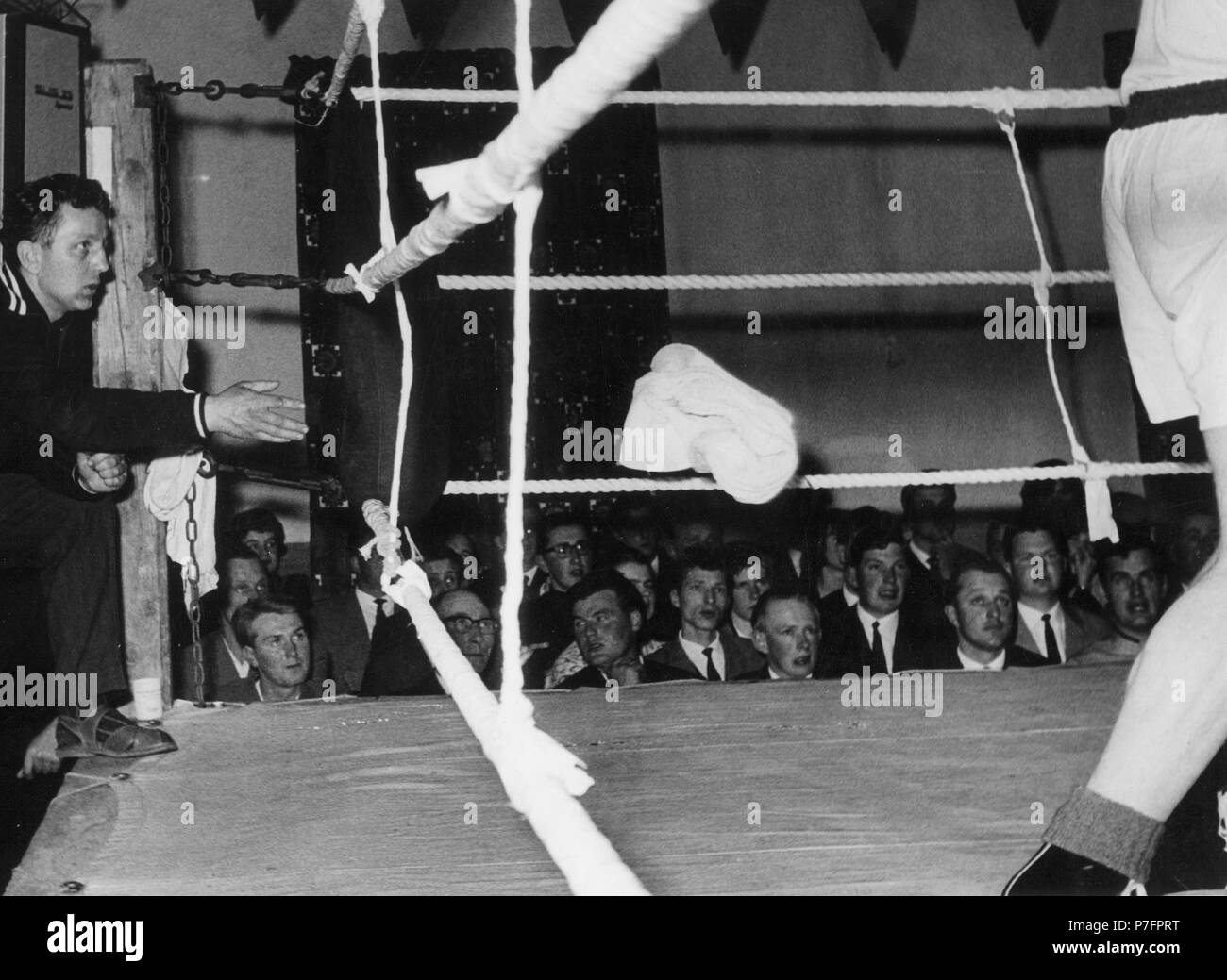 Werfen das Handtuch beim Boxen, 1950er Jahre, genaue Lage unbekannt,  Deutschland Stockfotografie - Alamy