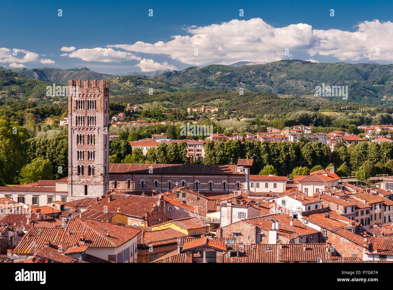 Luftaufnahme von Lucca in der Toskana, an einem sonnigen Nachmittag; der Glockenturm der Kirche San Frediano gehört Stockfoto