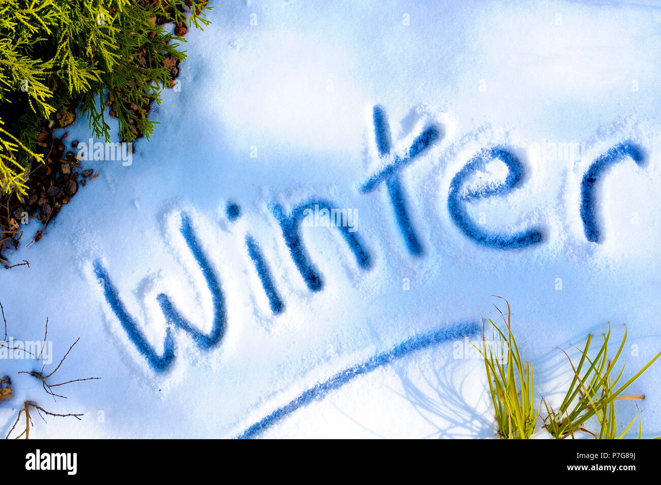Das Wort Winter im frischen Schnee geschrieben. Stockfoto
