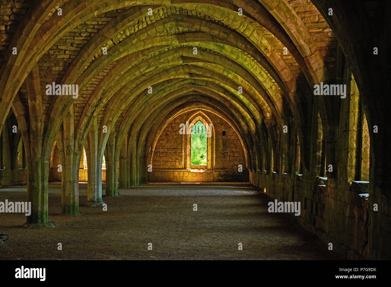 Das Cellarium in Fountains Abbey, North Yorkshire hat einen herrlichen gewölbten Dach. Die Abtei wurde im Rahmen der Reformation König Heinrichs VIII. zerstört. Stockfoto