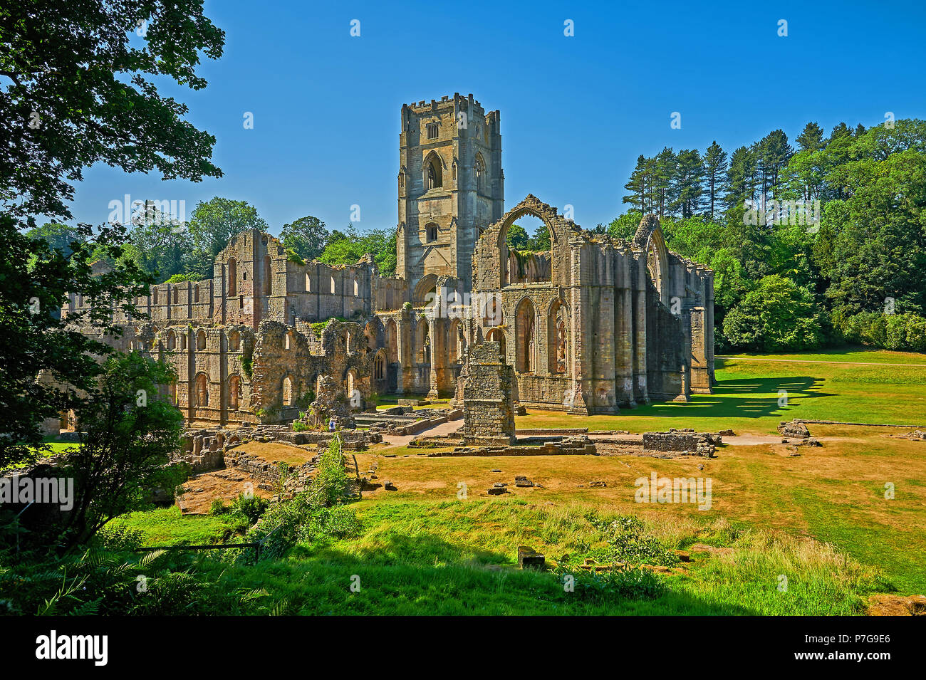 Die Ruinen von Fountains Abbey in North Yorkshire unter einem klaren blauen Himmel. Die Abtei wurde weitgehend während König Heinrichs VIII. Reformation zerstört. Stockfoto