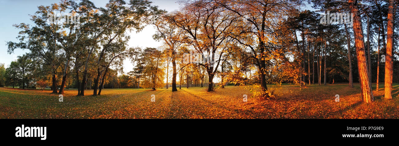 Herbst Panorama Park mit Sonnenterrasse Stockfoto