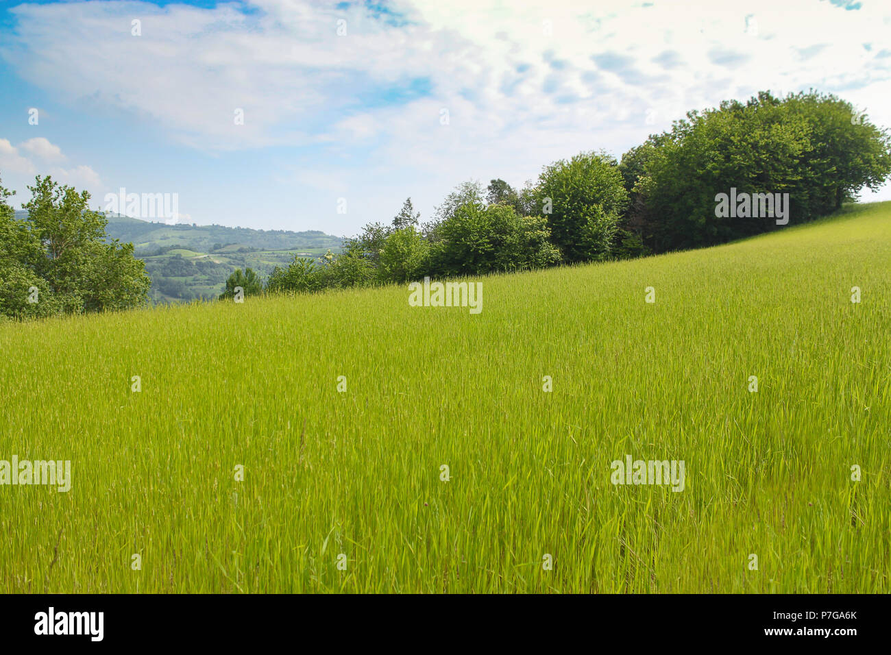 Natürliche Landschaft mit schönen grünen Hügel Stockfoto