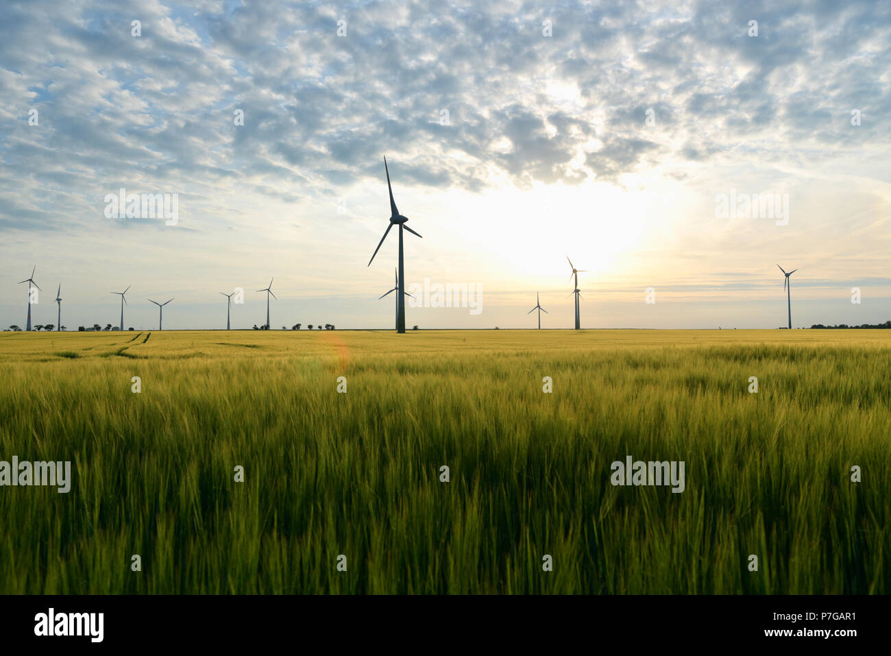Erneuerbare Energien - Stromerzeugung mit Windkraftanlagen in einem Windpark Stockfoto