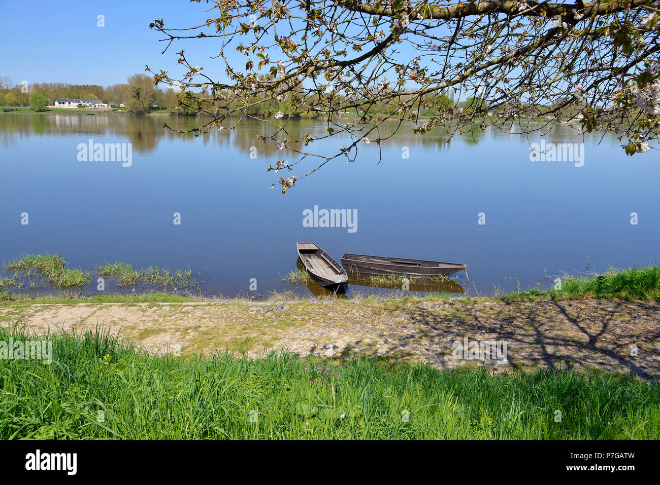 Die Ufer der Vienne in Candes-Saint-Martin mit Bäumen und kleinen Booten, französische Gemeinde im Département Indre-et-Loire, Region Centre in Frankreich. Stockfoto