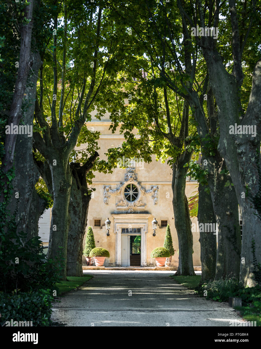 Die Außenfassade mit schattigen Bäumen gesäumte Auffahrt zum 18. Jahrhundert Schlösser in St. Remy-de-Provence Stockfoto
