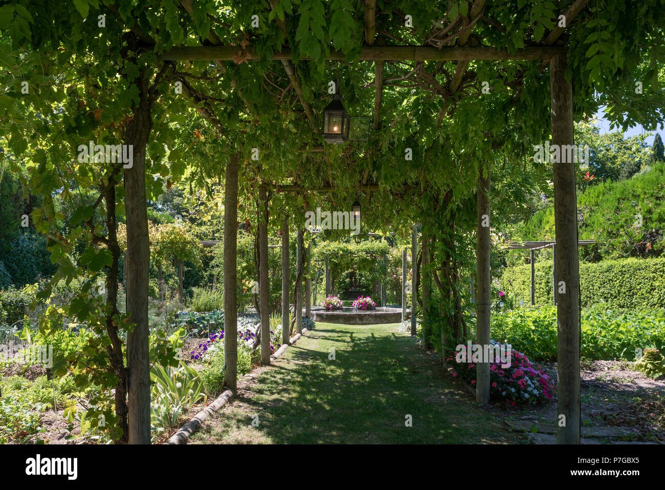 Schattige Pergola im Garten des 18. Jahrhunderts Schlösser in St. Remy-de-Provence Stockfoto