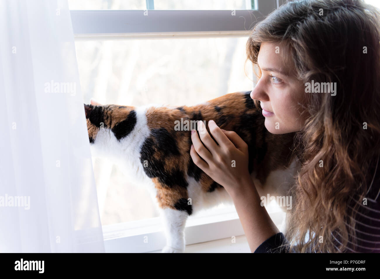 Nahaufnahme der jungen Frau Verklebung mit Calico Katze, stehend auf der Fensterbank durch Fenster außerhalb starrt hinter Gardinen Stockfoto