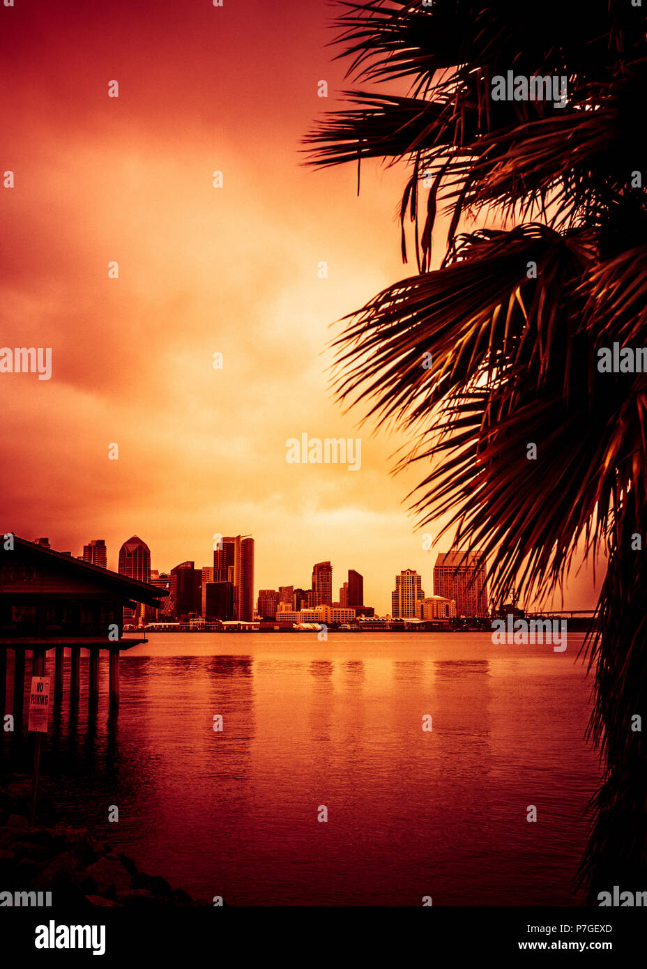 Schönen Sonnenuntergang über San Diego Skyline mit Bucht und Palmen Stockfoto