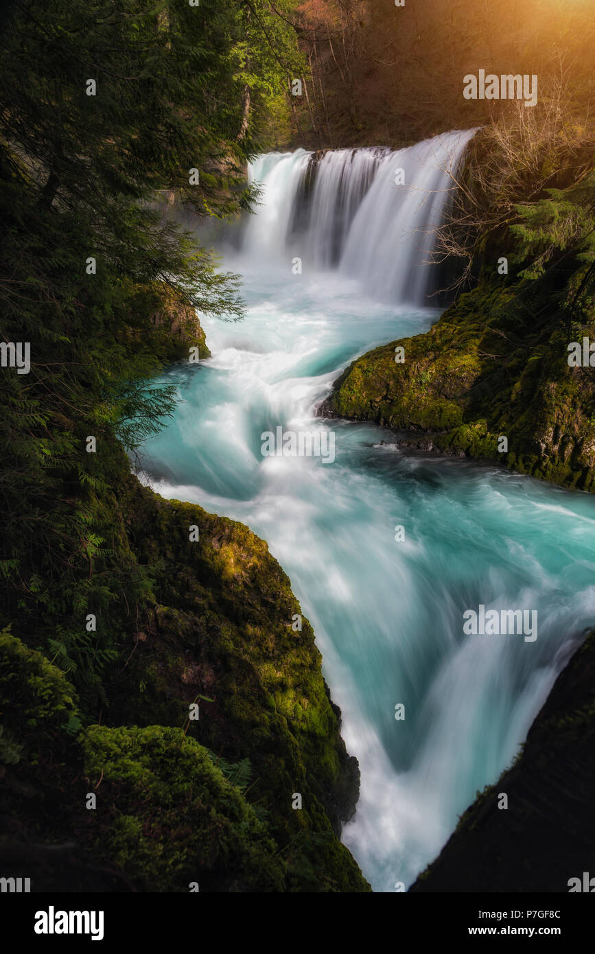 Schöne und magische Geist fällt fließt durch den Märchenwald im Staat Washington Stockfoto