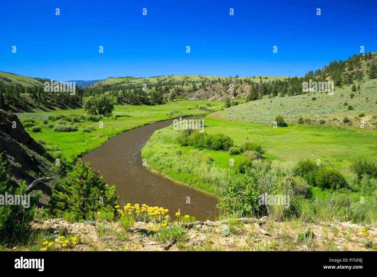 Obere Smith River in der Nähe von White Sulphur Springs, Montana Stockfoto
